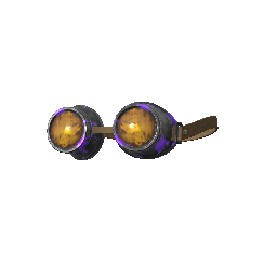 Checkered Past Goggles