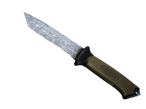 熊刀（★） | 大马士革钢 (略有磨损)★ Ursus Knife | Damascus Steel (Minimal Wear)