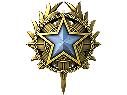 2020 年服役勋章2020 Service Medal