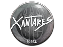 印花 | XANTARES | 2019年卡托维兹锦标赛Sticker | XANTARES | Katowice 2019