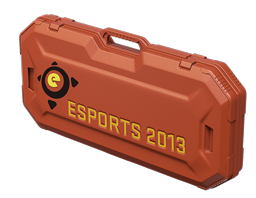电竞 2013 武器箱eSports 2013 Case