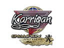 印花 | karrigan (Champion) | Antwerp 2022Sticker | karrigan (Champion) | Antwerp 2022