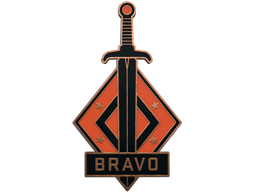 英勇胸章（纯正）Genuine Bravo Pin