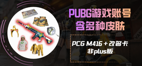 PUBG皮肤成品账号（PGC+改名卡等）非plus版