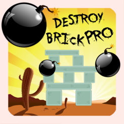 Destroy Brick Pro